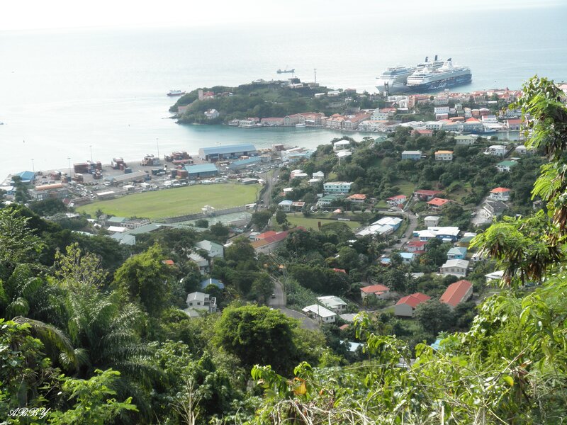 Cruise Ships in Harbor — Green