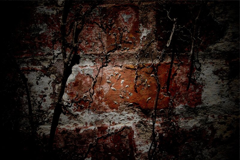crumbling wall with vines
