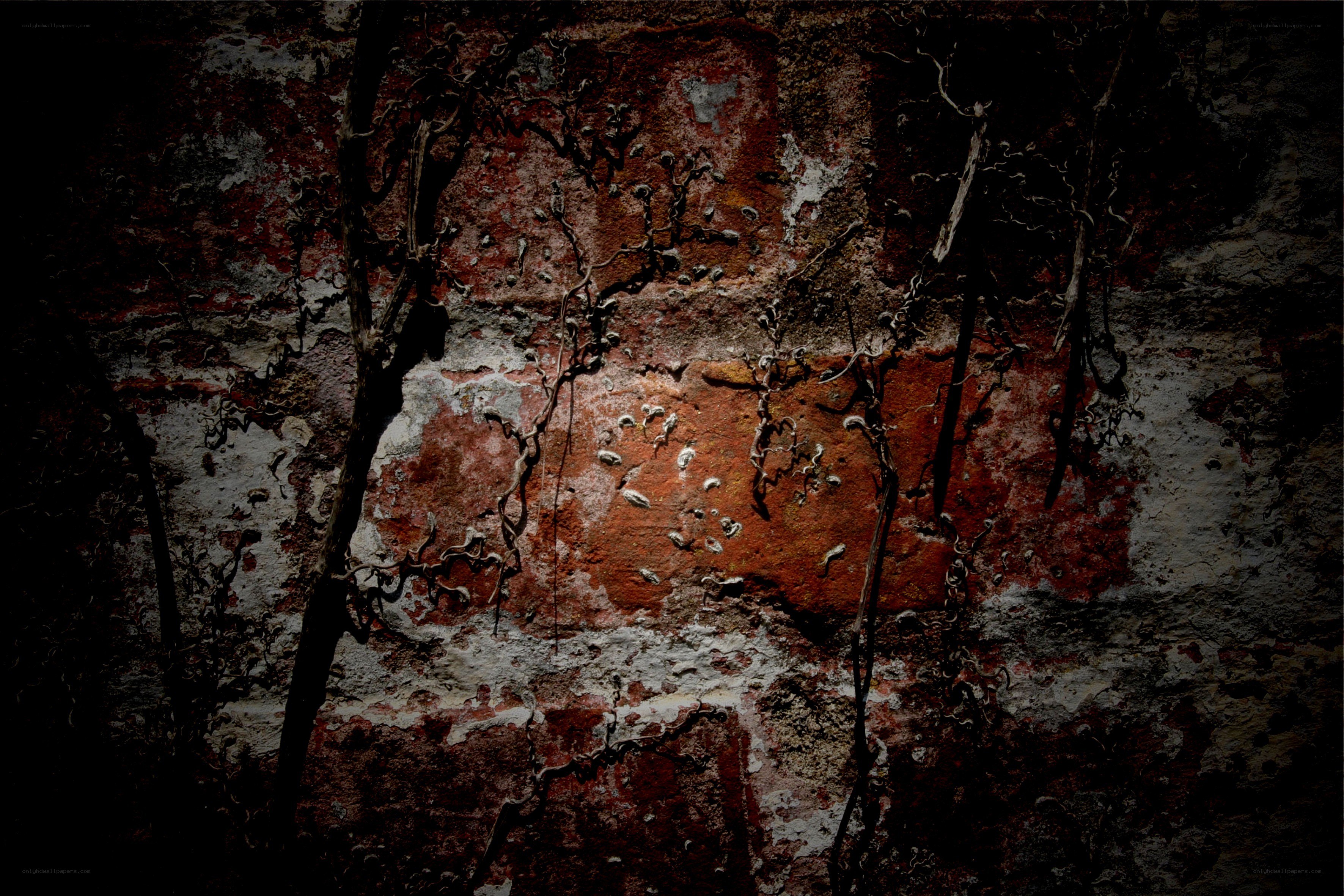 crumbling wall with vines
