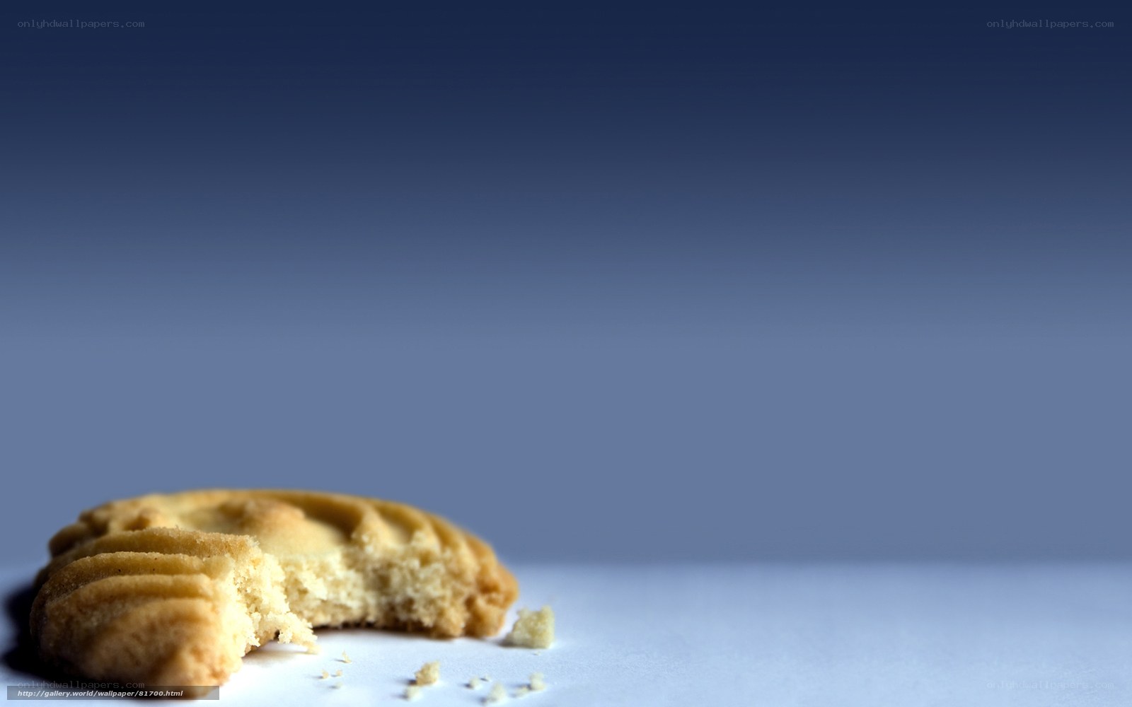 crumbly cookie on blue