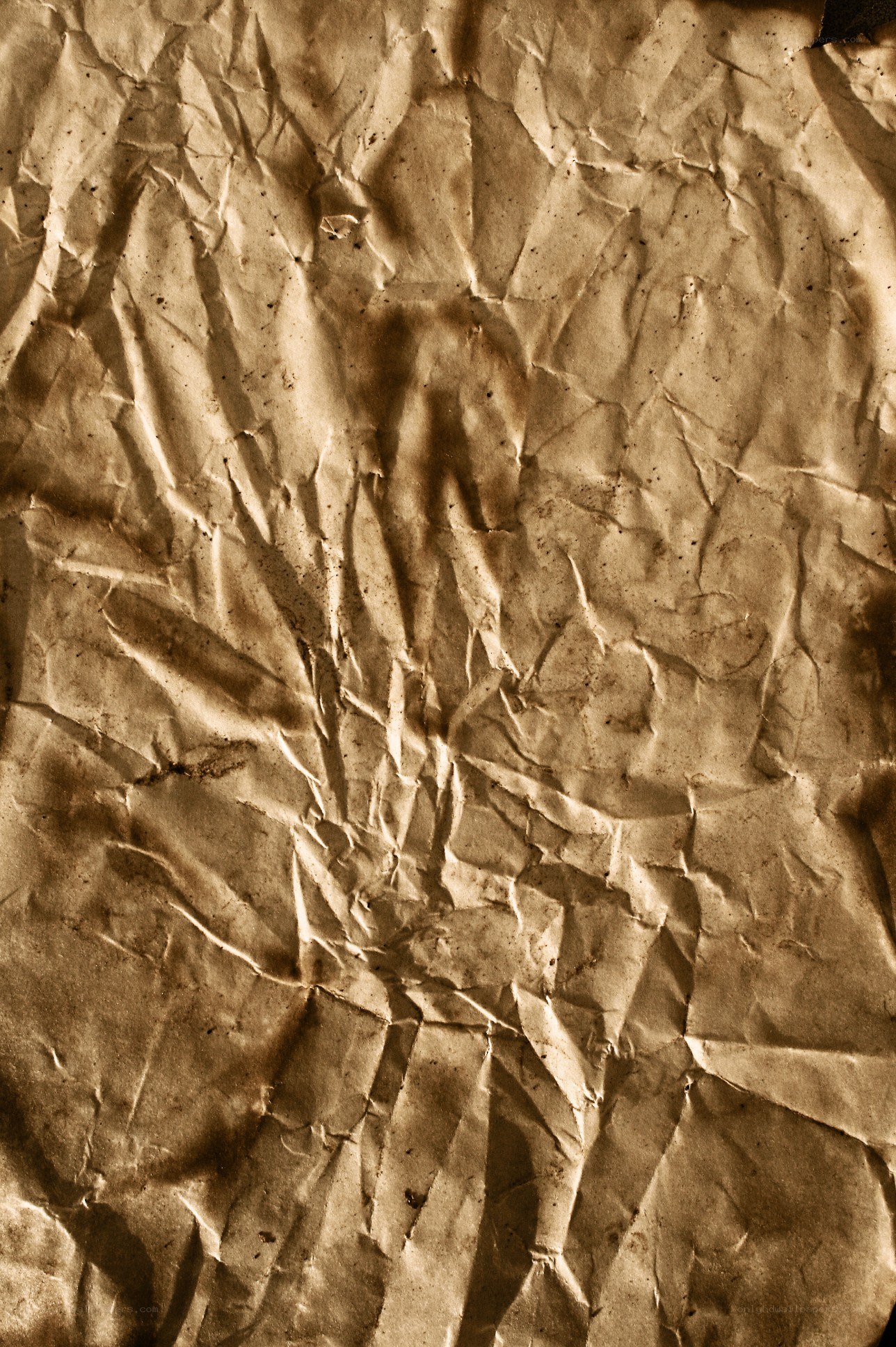 crumpled brown paper texture