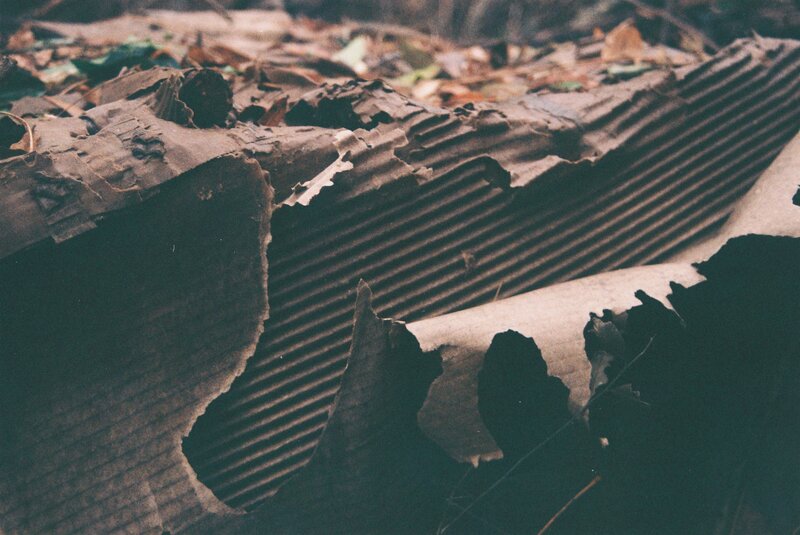 Crumpled Cardboard Box