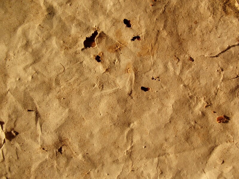 Crumpled Paper Surface
