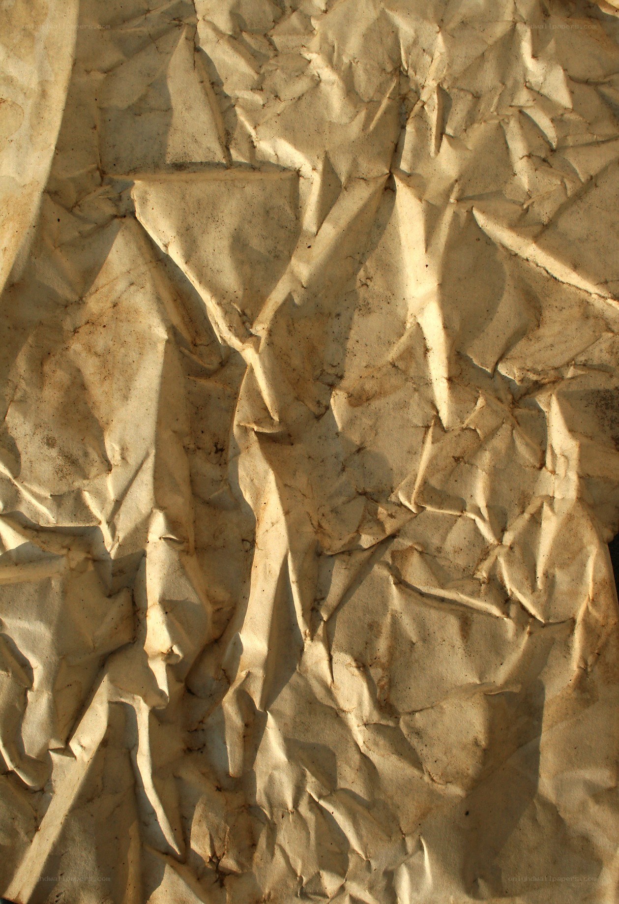 crumpled paper texture