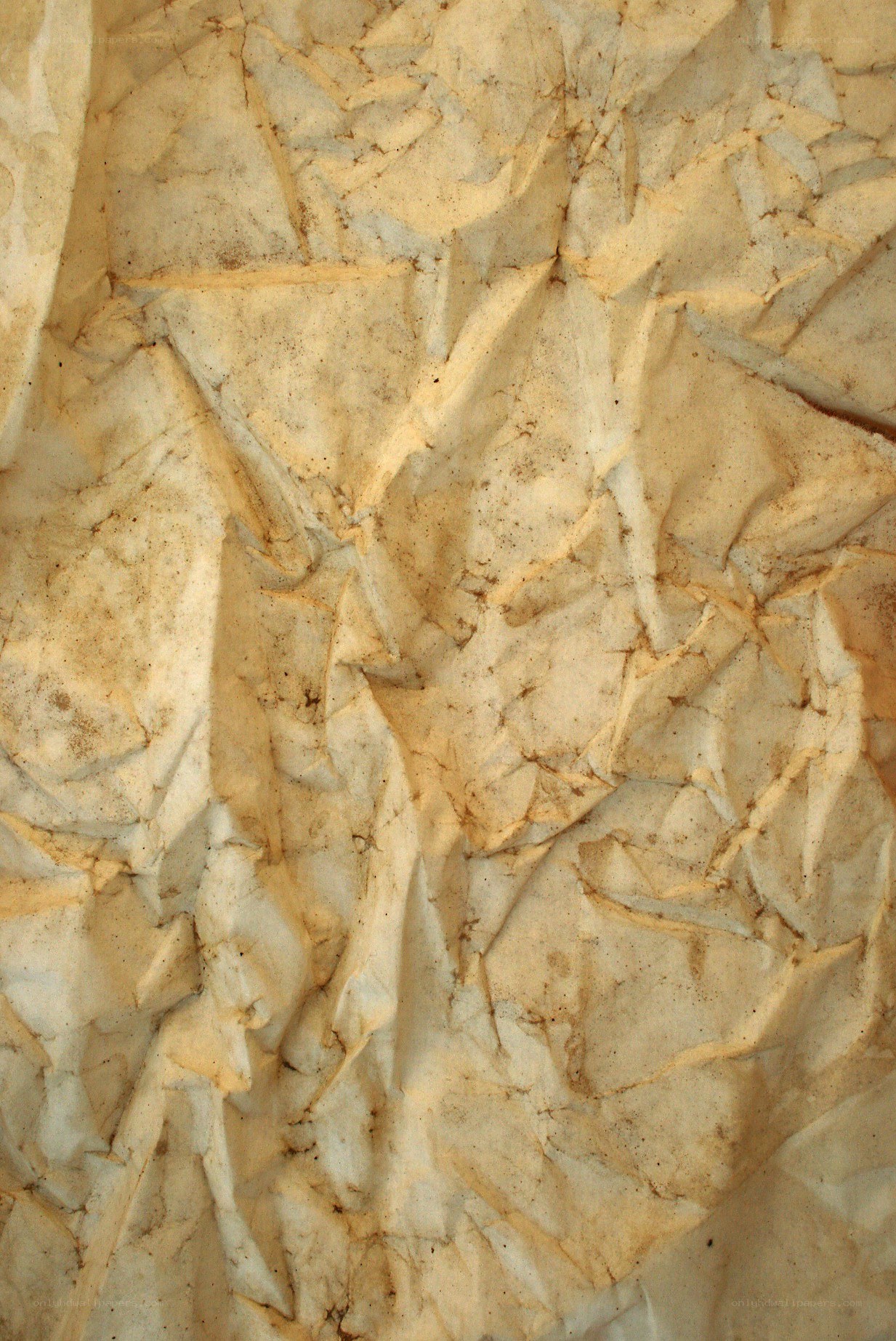 crumpled paper texture