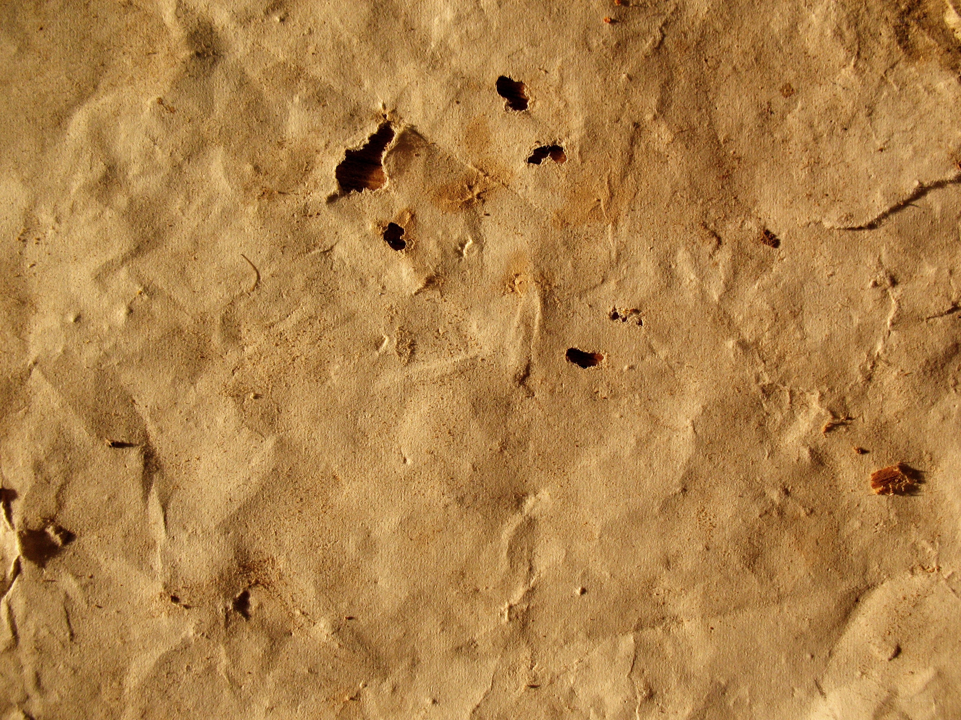 crumpled paper texture