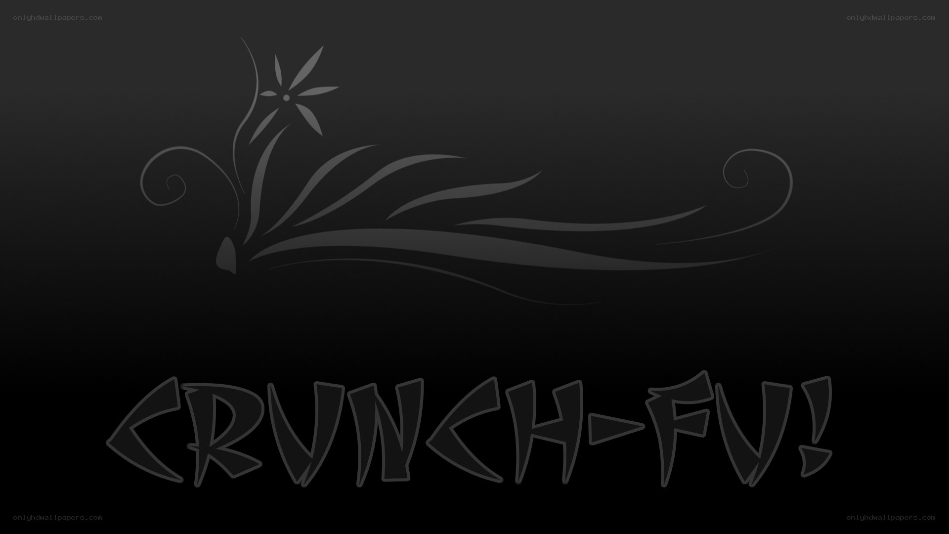 Crunch-Fu logo