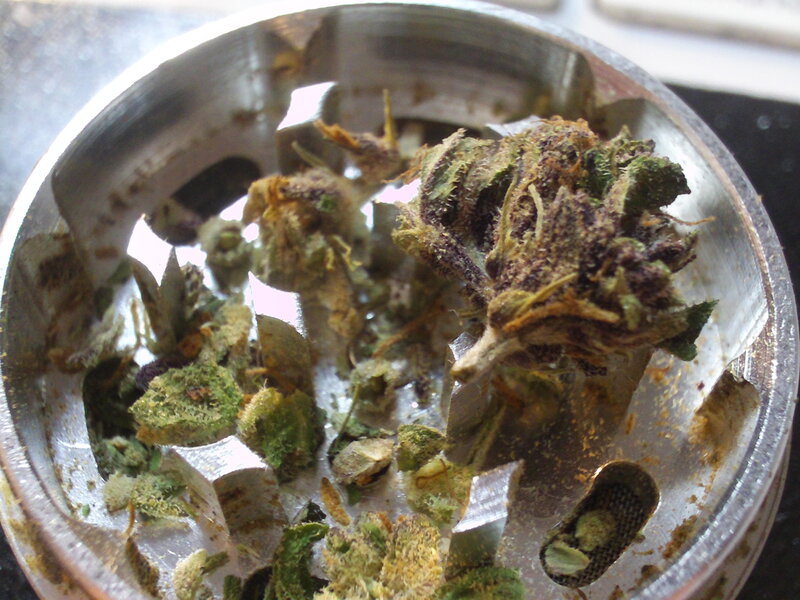 crushed cannabis in grinder
