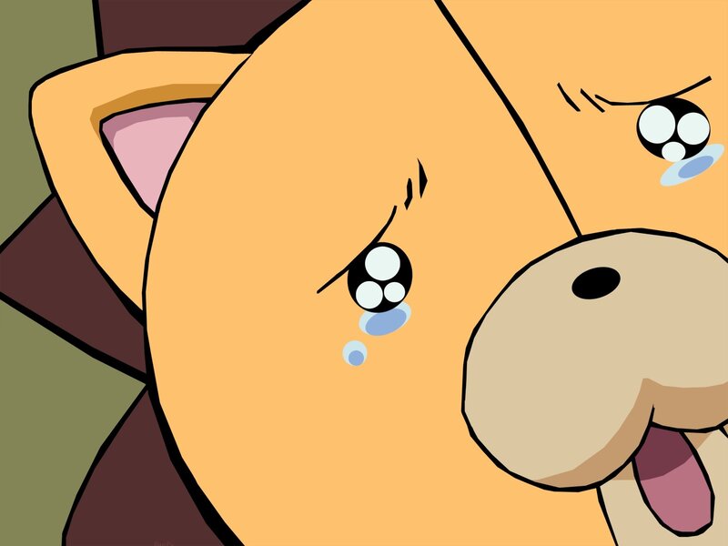 Crying Cartoon Bear — Orange