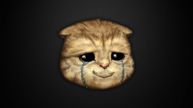 Crying Cat Face