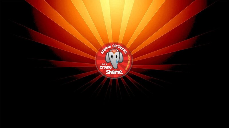 Crying Elephant Logo