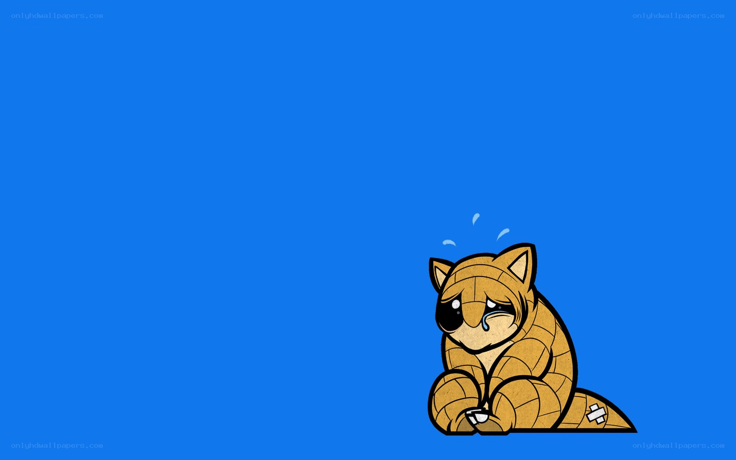 crying raccoon character