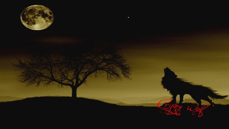 Crying wolf under the moon