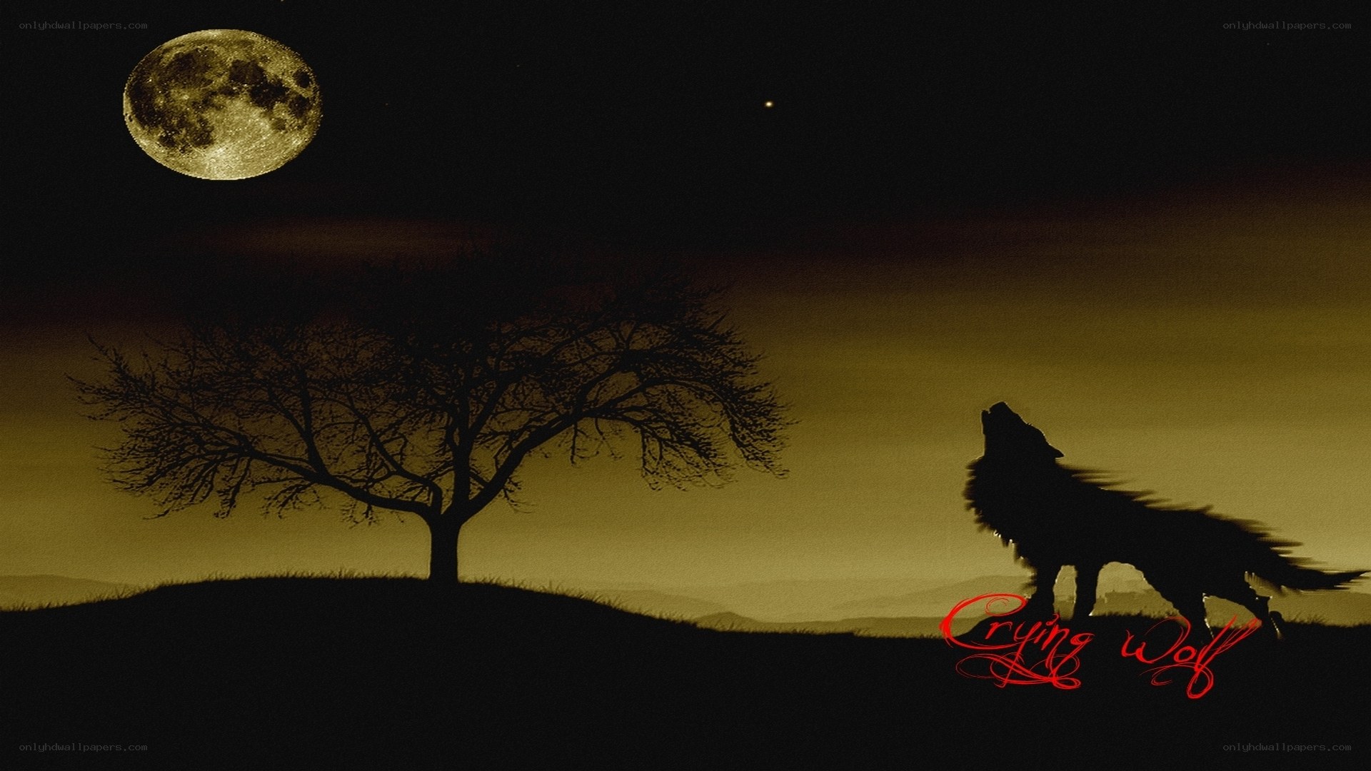 Crying wolf under the moon