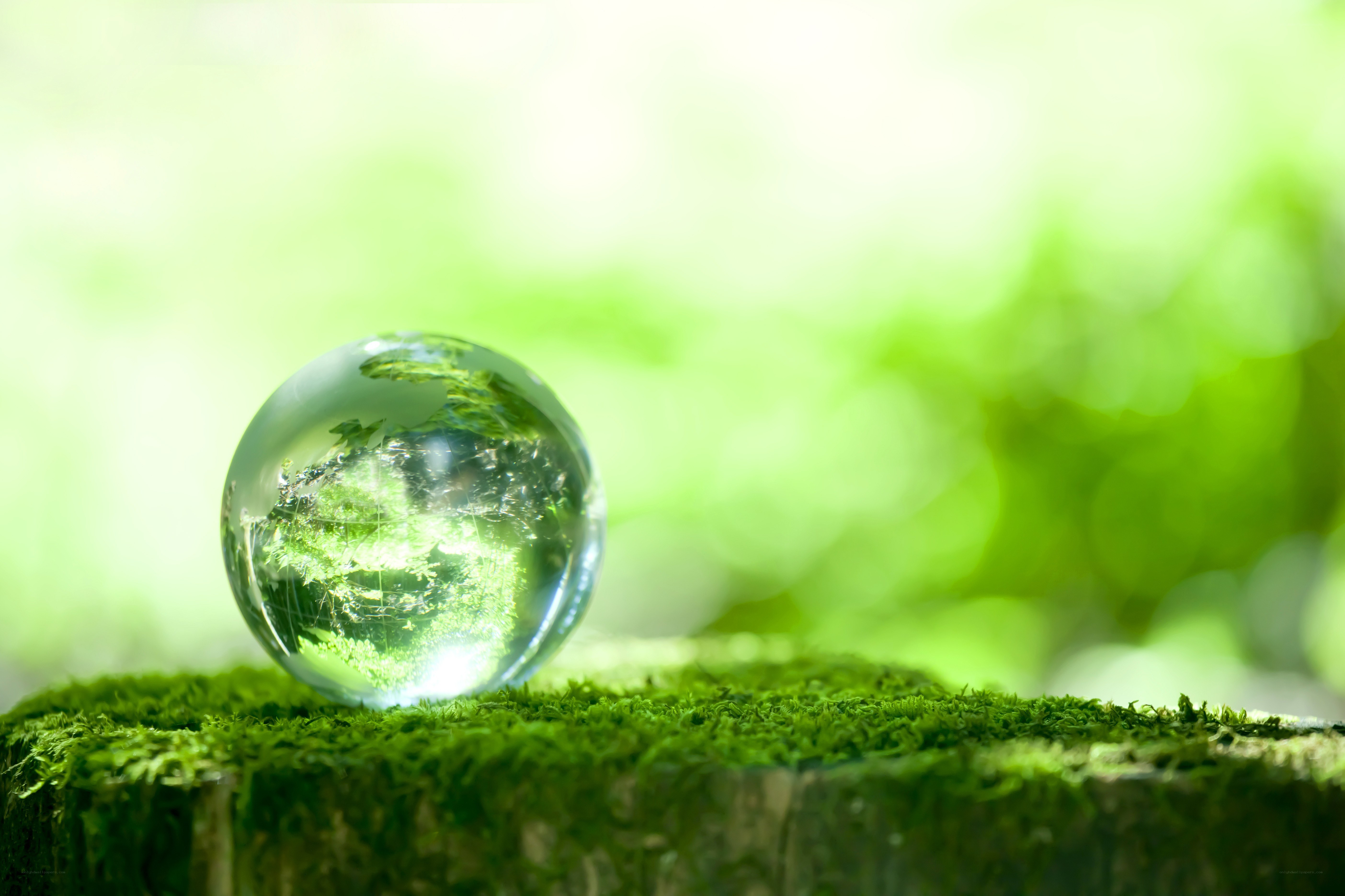 Crystal ball on mossy stump
