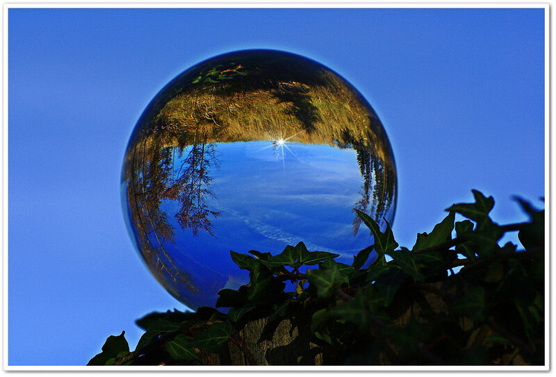 Crystal ball reflecting nature