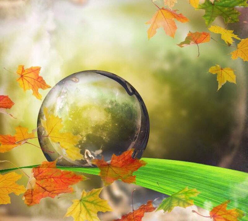 Crystal Ball with Autumn Leaves