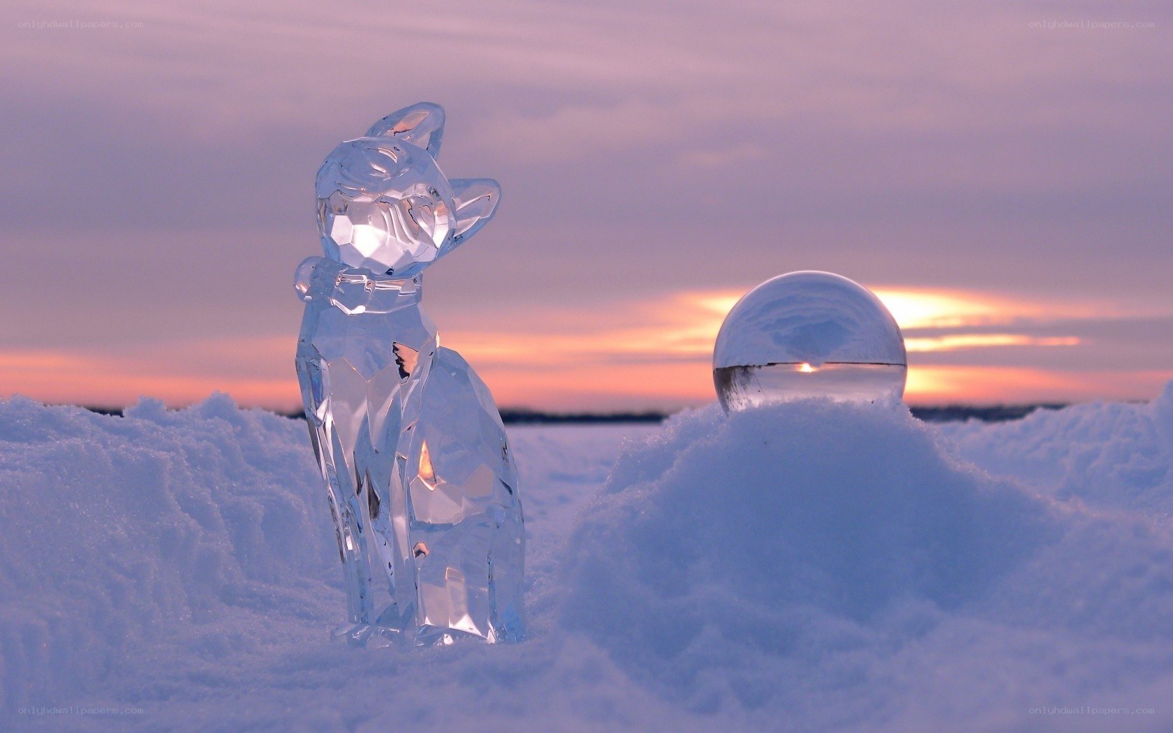 crystal cat in snow at sunset