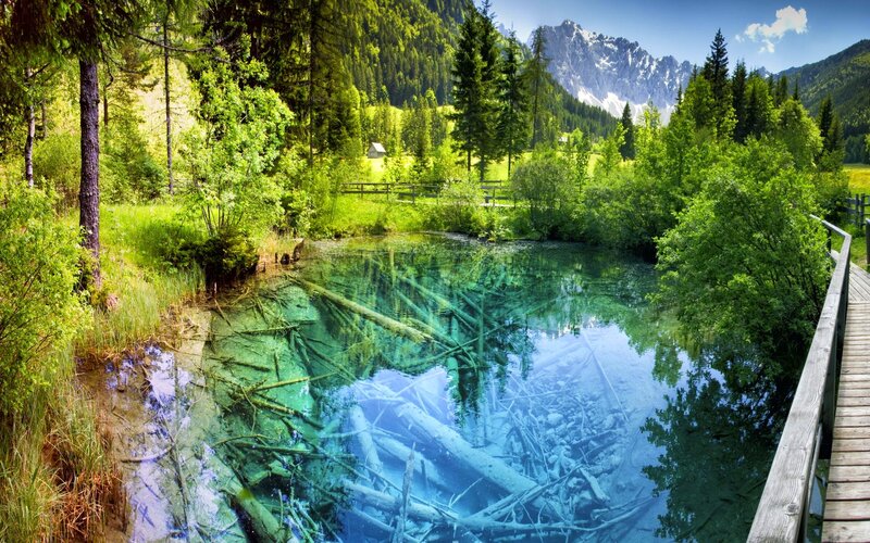 Crystal-clear Alpine Pond