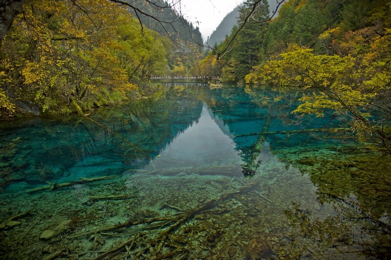 Crystal-clear Lake in Forest — Blue