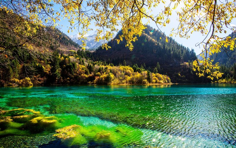 Crystal-clear Lake in Mountains