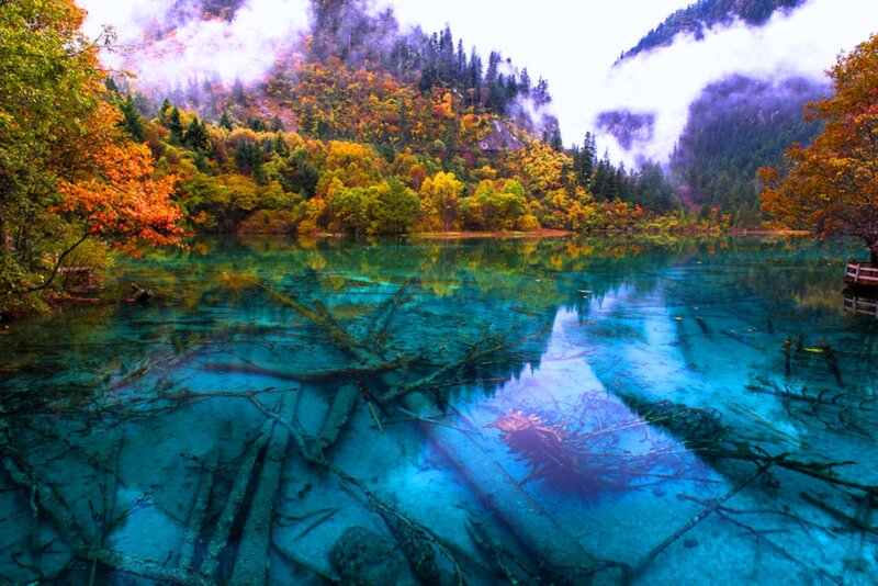 Crystal-clear Lake with Submerged Logs — Blue