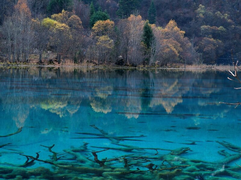 Crystal-clear Lake with Submerged Logs