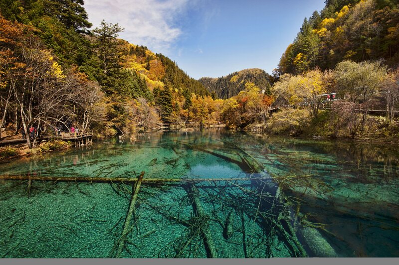 Crystal-clear Lake with Submerged Trees