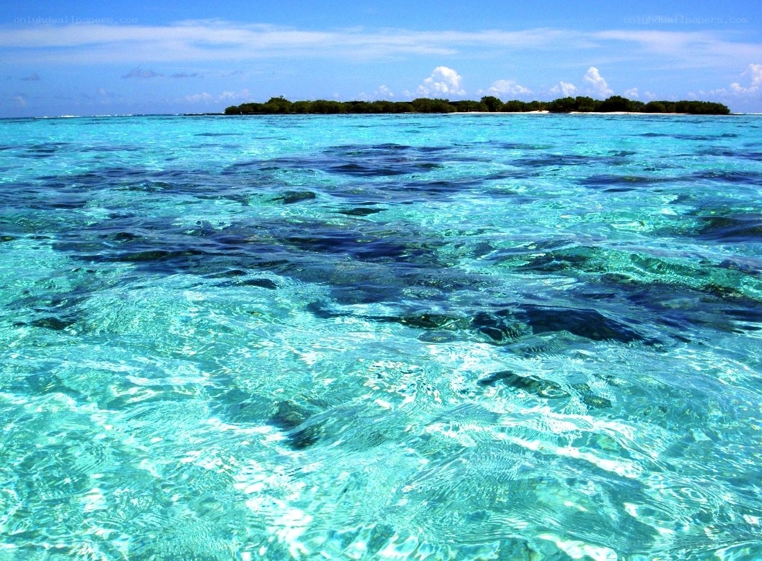 crystal-clear ocean water