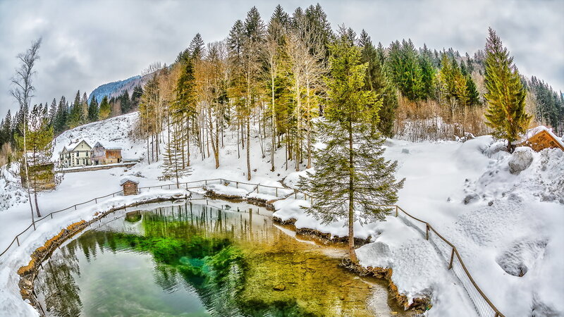 Crystal-clear Pond in Snow — Green