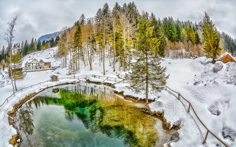 Crystal-clear Pond in Snow