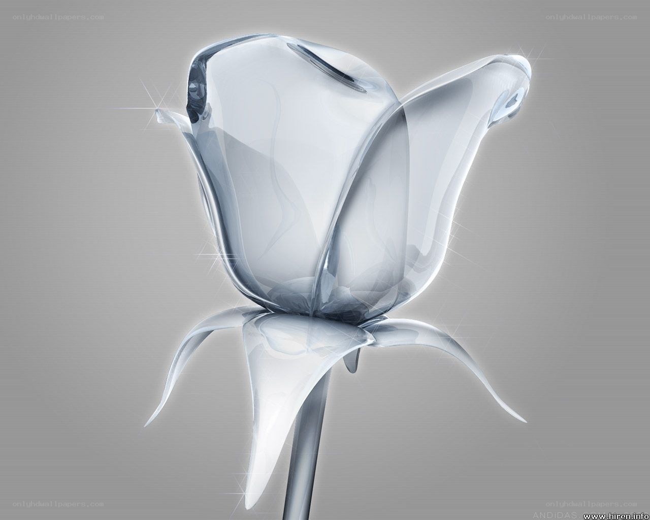 crystal rose flower