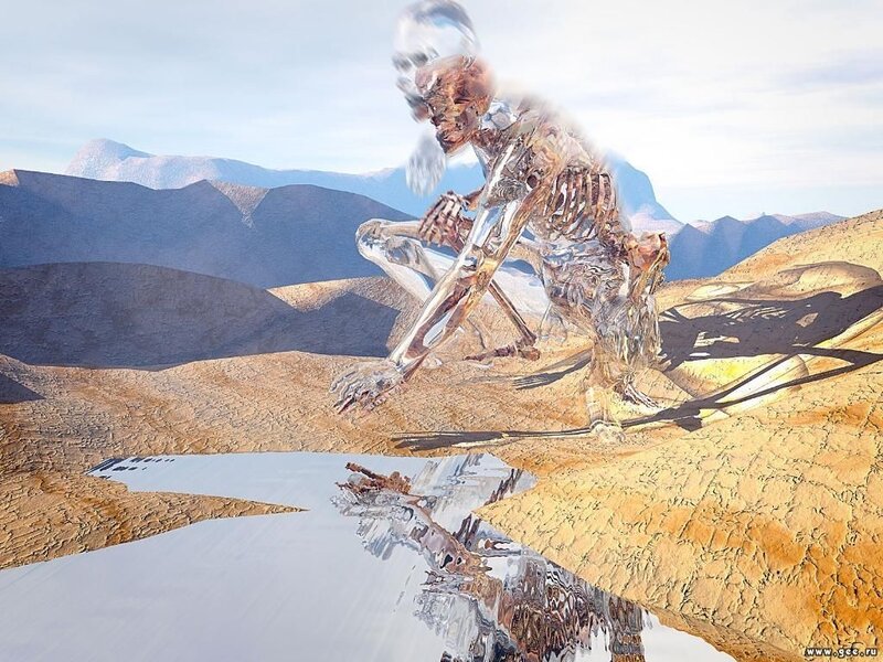 Crystal Skeleton Figure