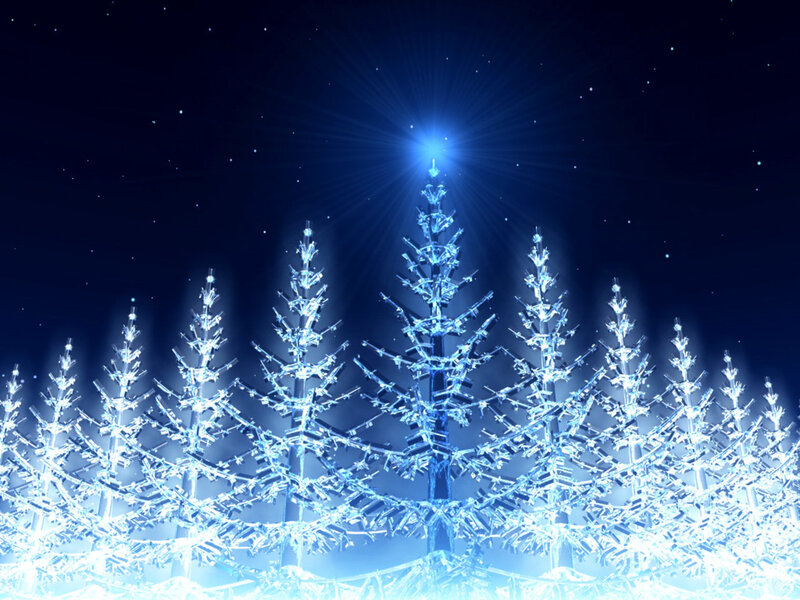 Crystal Trees in Forest