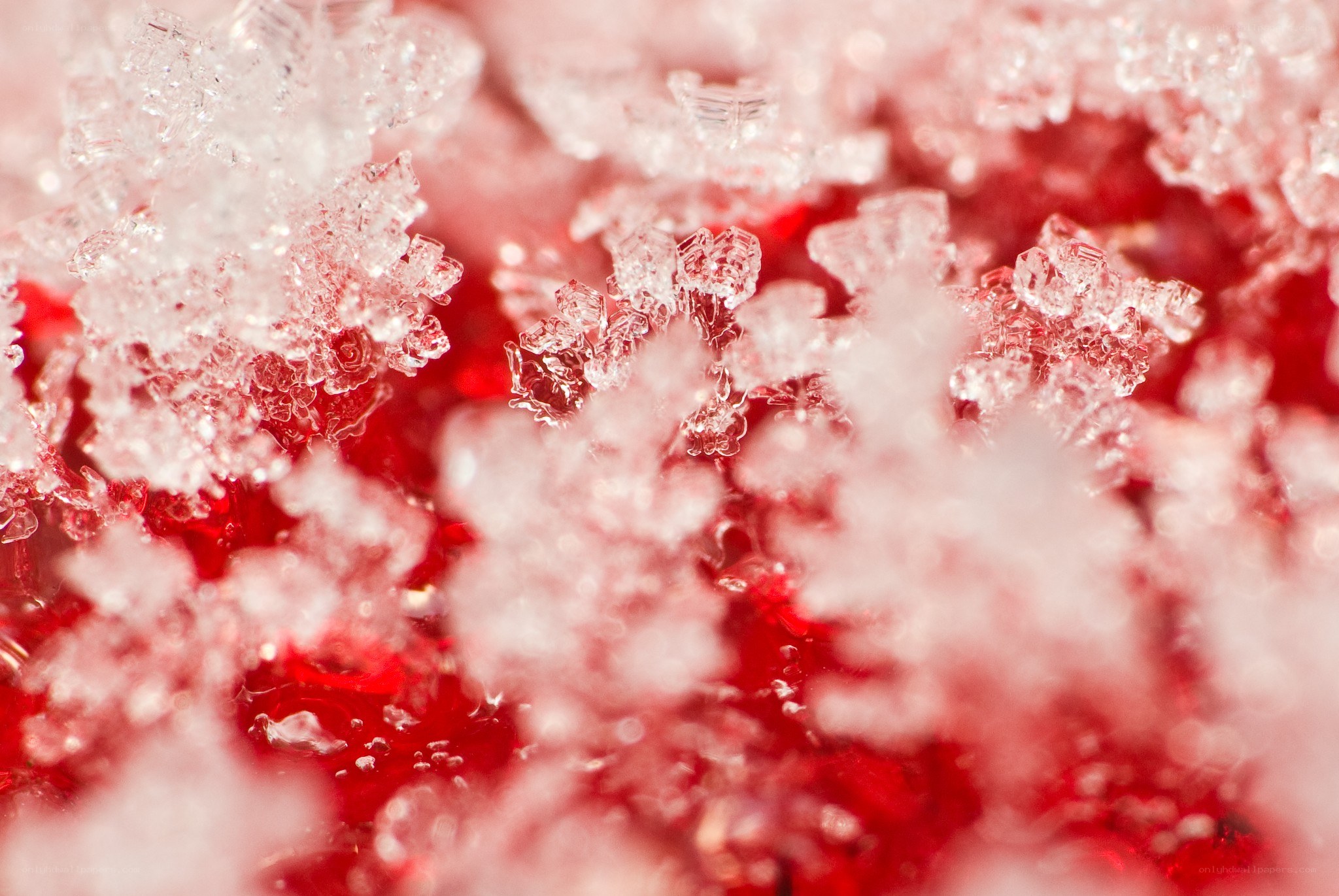 crystalline ice on red surface
