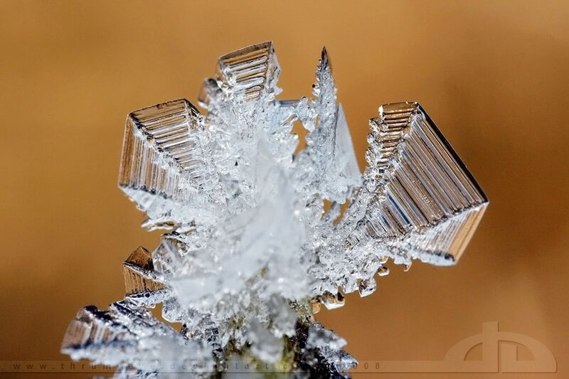 Crystalline Structure