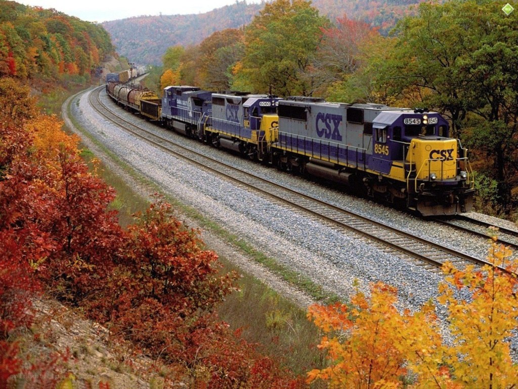 CSX train in autumn foliage