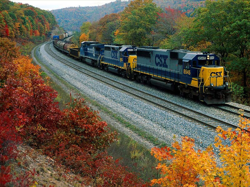 CSX train in autumn foliage