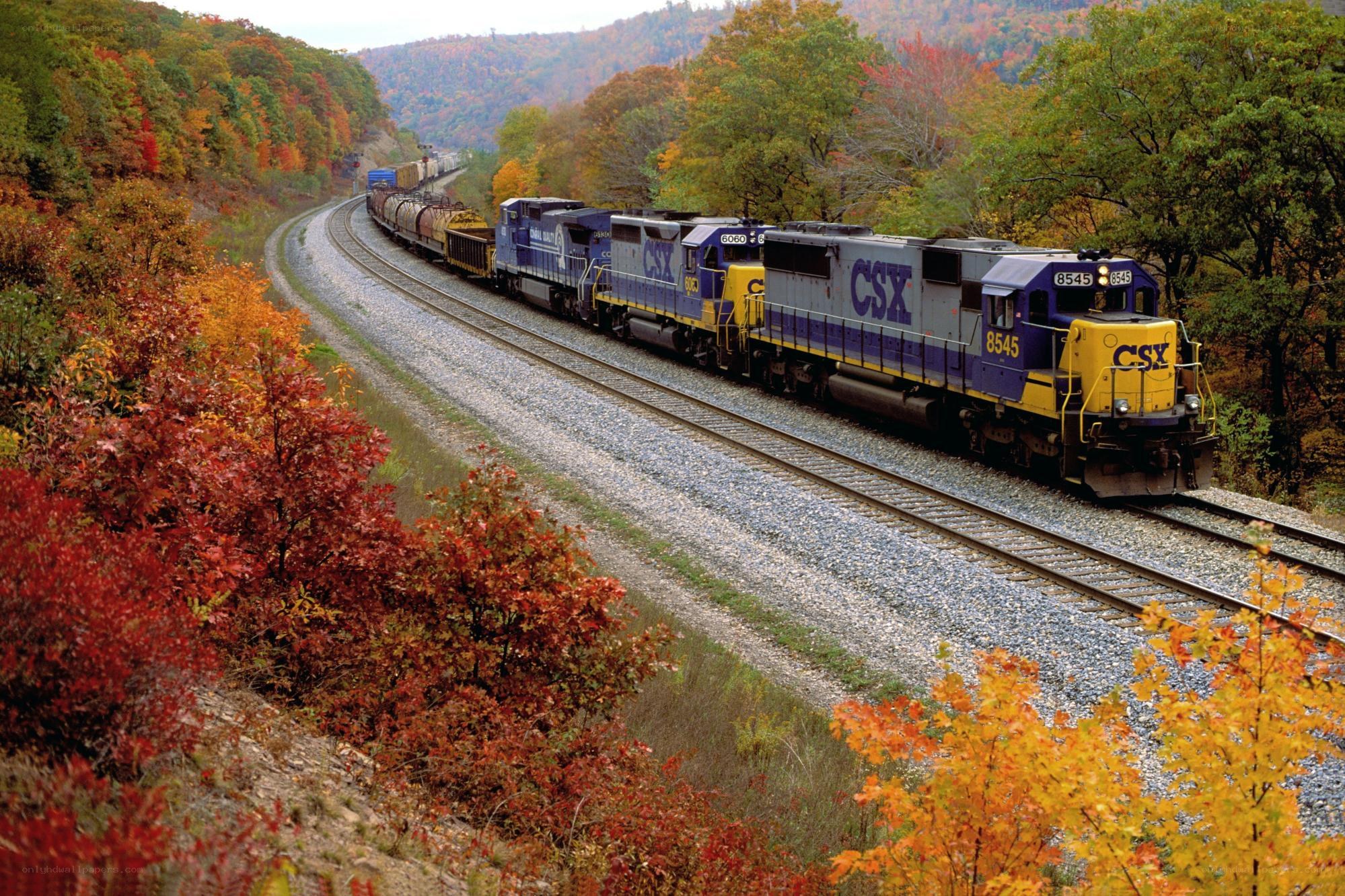 CSX train in autumn foliage