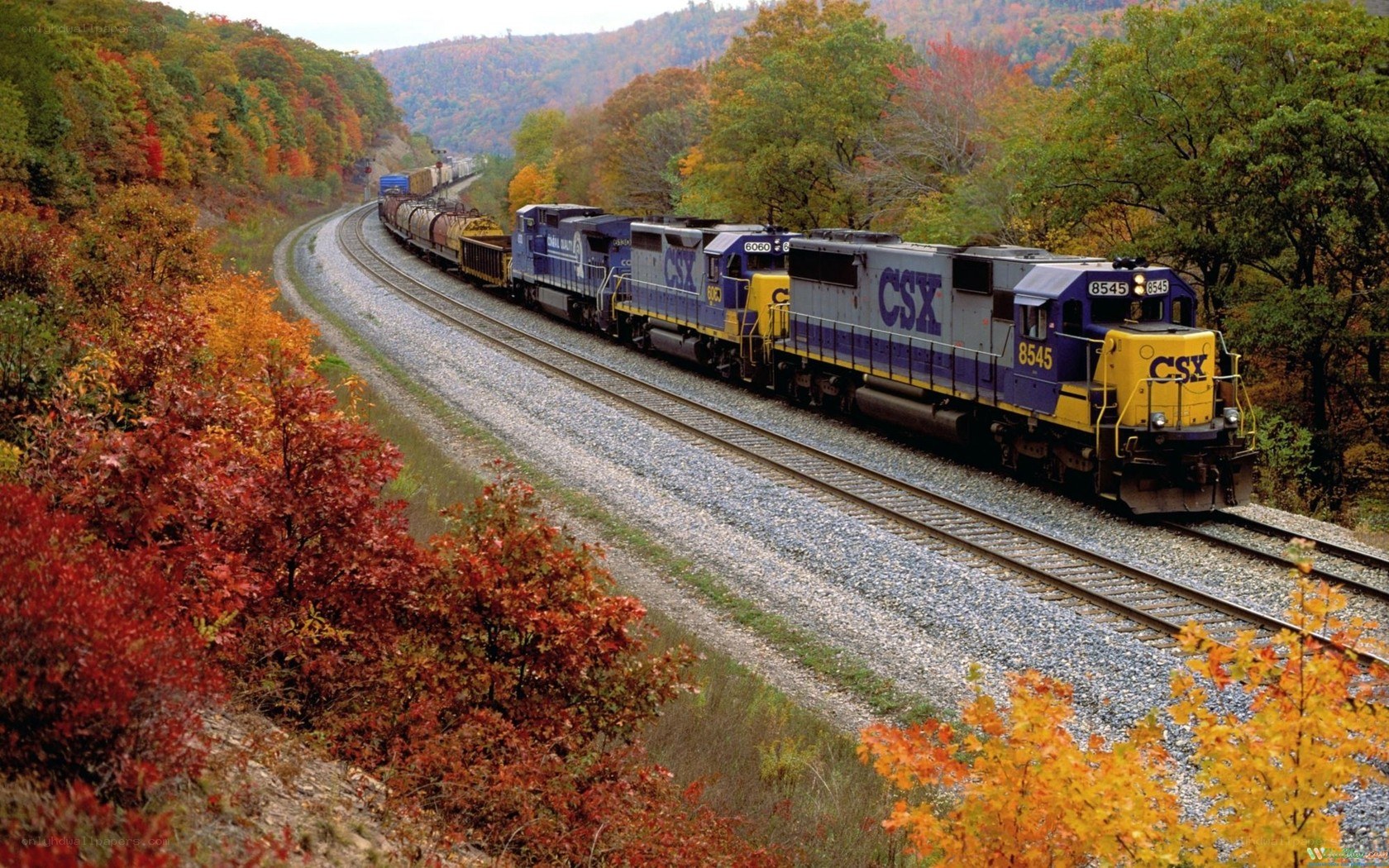 CSX train in autumn foliage