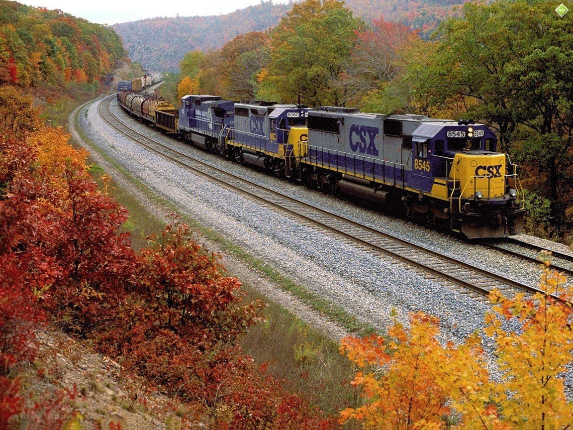 CSX train in autumn foliage
