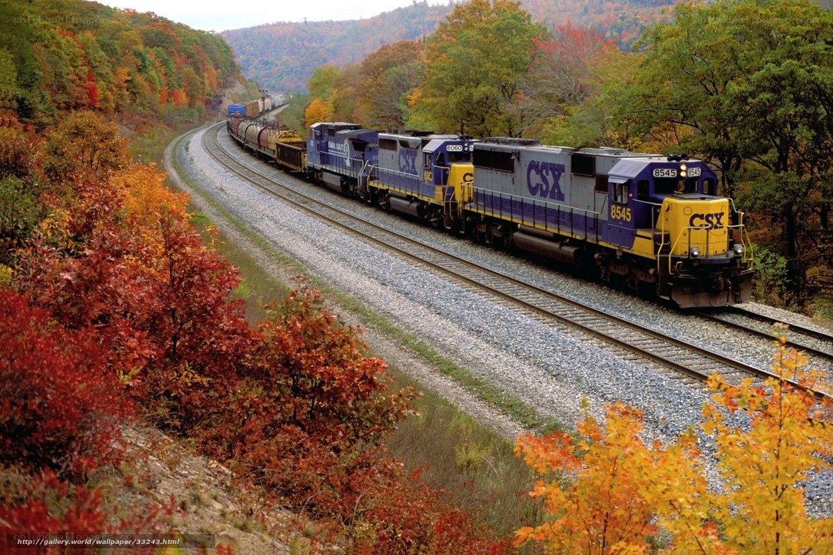 CSX train in autumn foliage