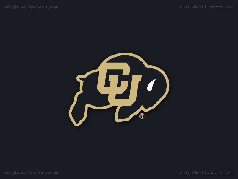 CU Buffs logo on dark background