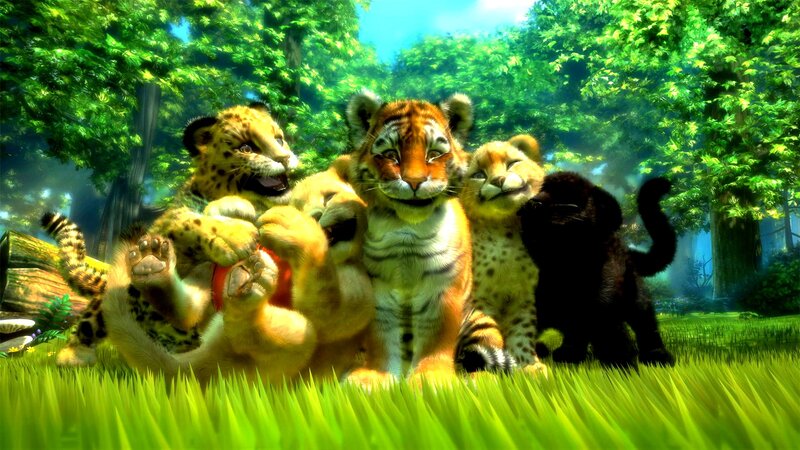 Cub Animals in Grass