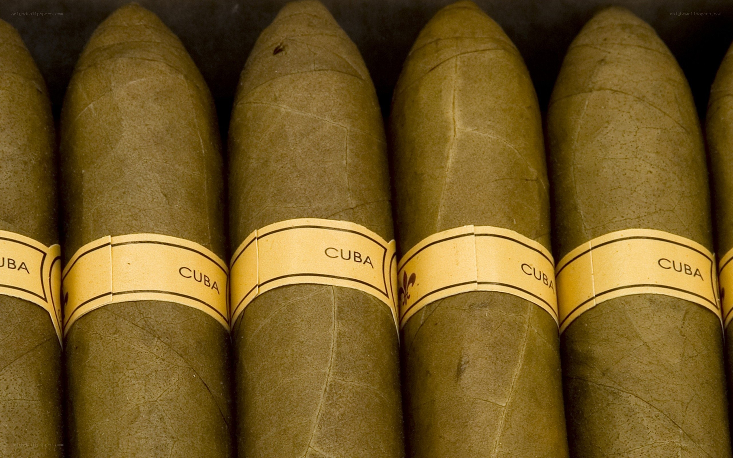 Cuban cigars in a box