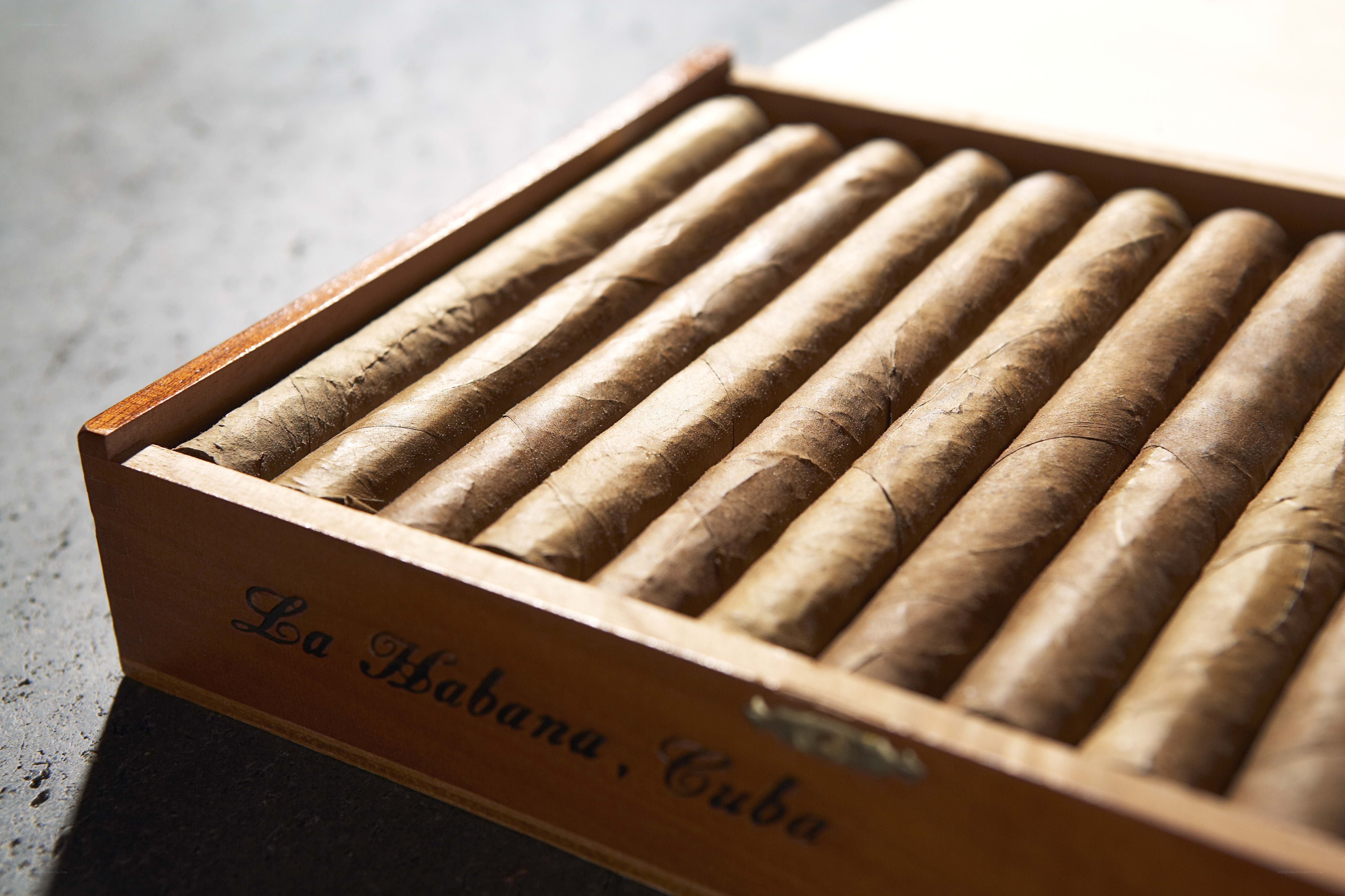 Cuban cigars in a wooden box