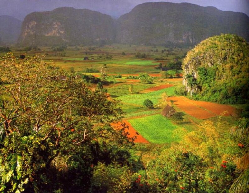 Cuban Countryside