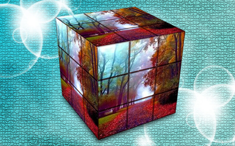Cube with Forest Scene