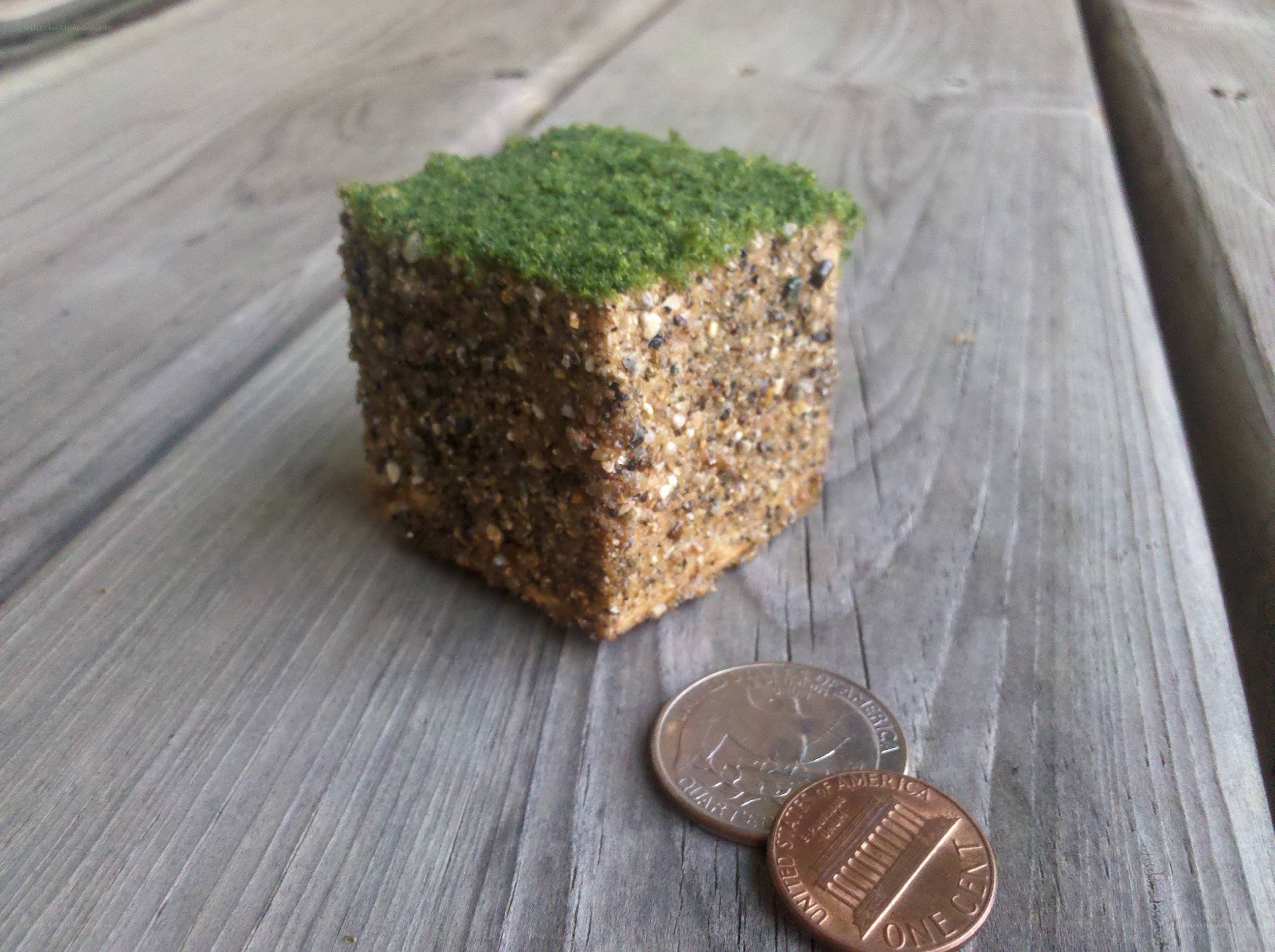 cube with moss and sand