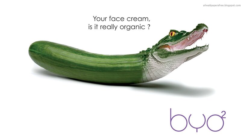 Cucumber Alligator Hybrid